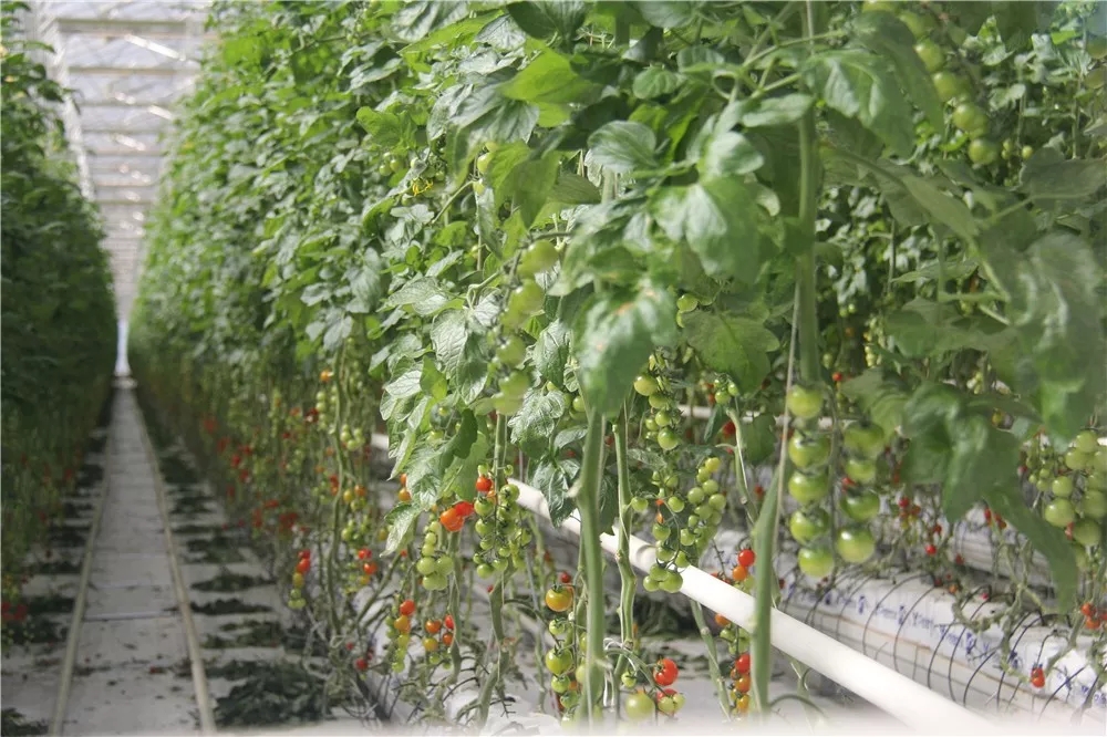 640.webp (10).jpg 640.webp (10).jpg