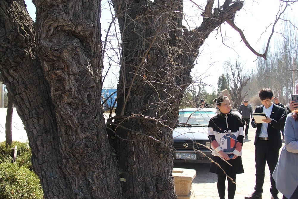 640.webp (30).jpg 640.webp (30).jpg