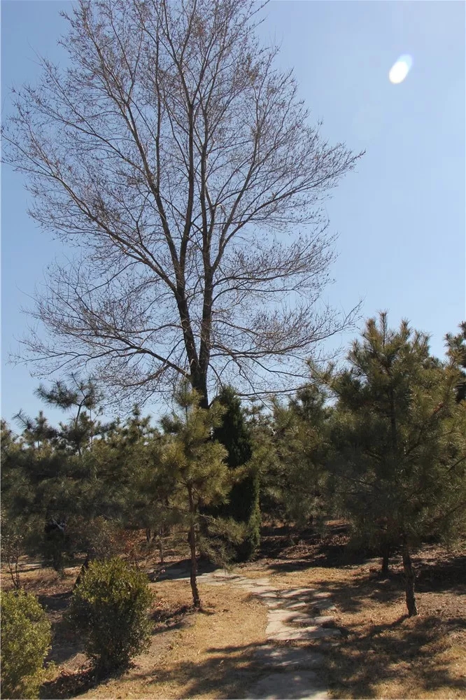 640.webp (1).jpg 640.webp (1).jpg