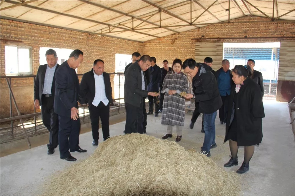 640.webp (3).jpg 640.webp (3).jpg