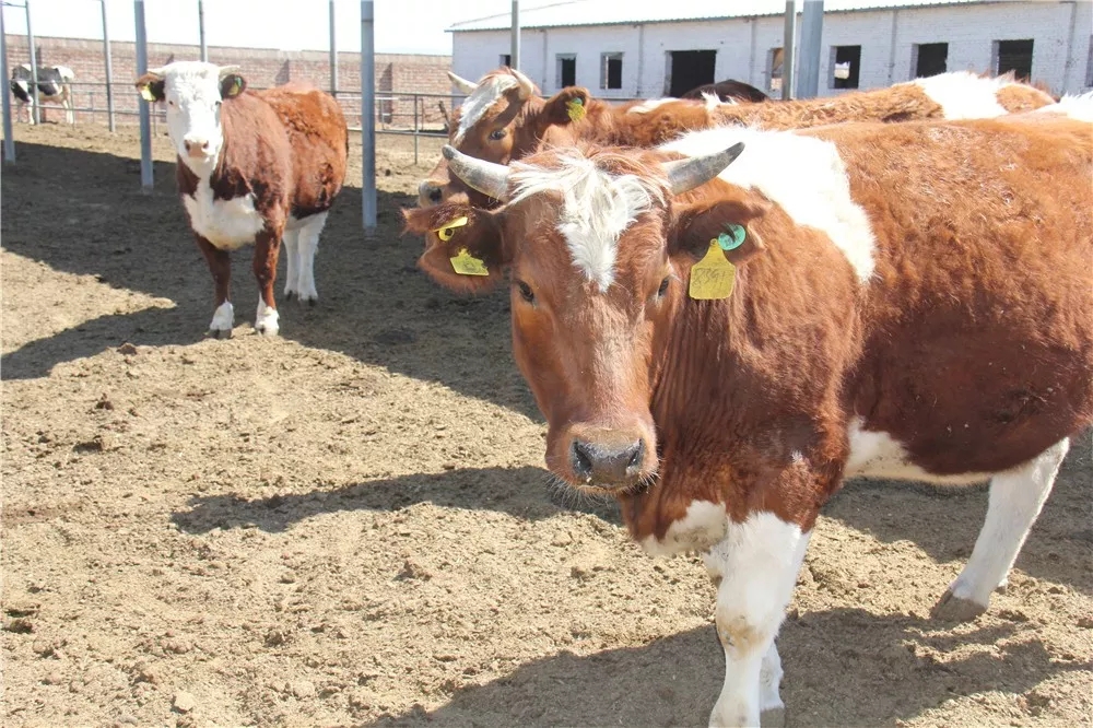 640.webp (9).jpg 640.webp (9).jpg